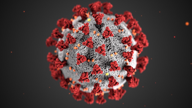 The novel coronavirus, which causes COVID-19