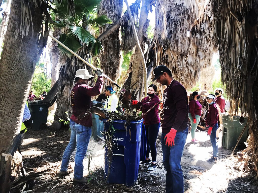 Volunteers clean up Las Palmas Trail.
