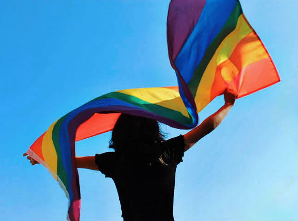 A student waves the pride flag.