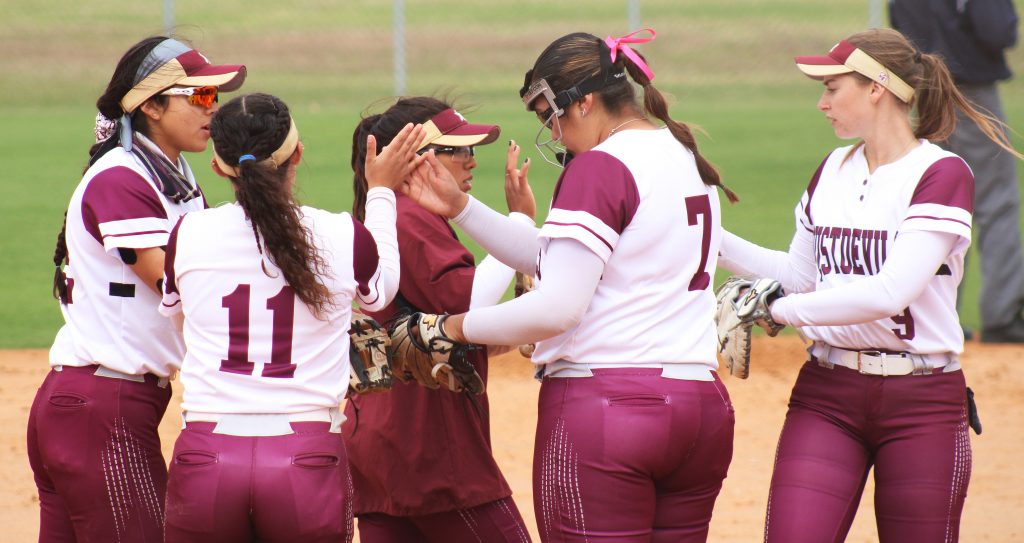 TAMIU softball team celebrates