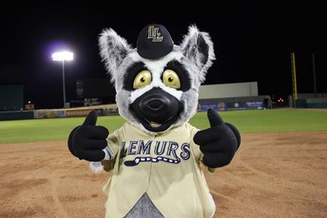 Laredo Lemurs: ‘Love at first sight’