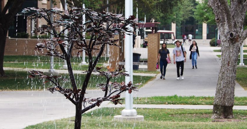 CAMPUS: ‘Tree of Luck’ joins campus