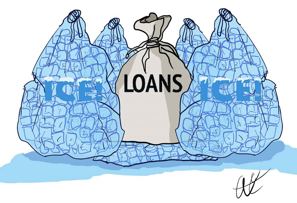 A bag of loans surrounded by a bunch of bags of ice