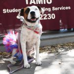 HEALTH: Laredo PD therapy pets visit campus for Mental Health Awareness Week