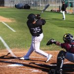 SPORTS: Dustdevils fall to Buffalos in series