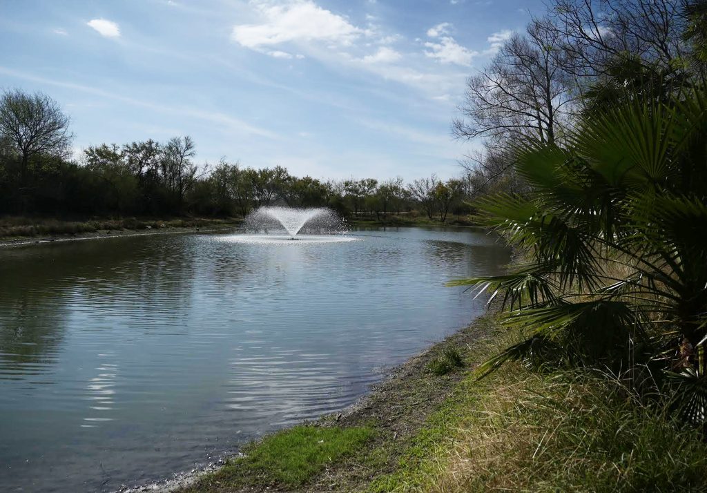 biology pond