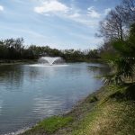 biology pond