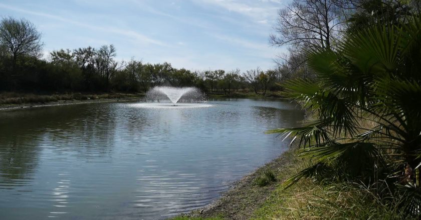 CAMPUS: TAMIU pond cleanup ‘destructive’ says ecology professor