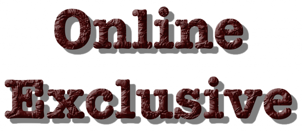 Online Exclusive logo