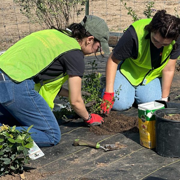 NEWS: The Big Event slated for March 28