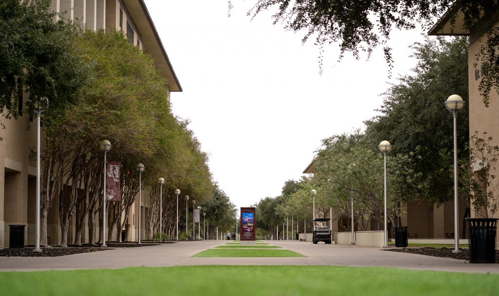 The artificial turn is bright green on campus.