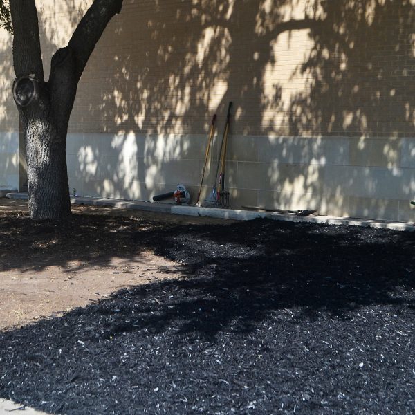 CAMPUS: TAMIU installs mulch across campus grounds in new beautification efforts 