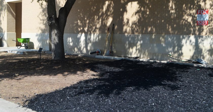 CAMPUS: TAMIU installs mulch across campus grounds in new beautification efforts 