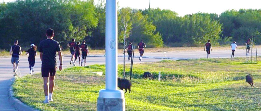 Runners curve around the outskirts of campus.